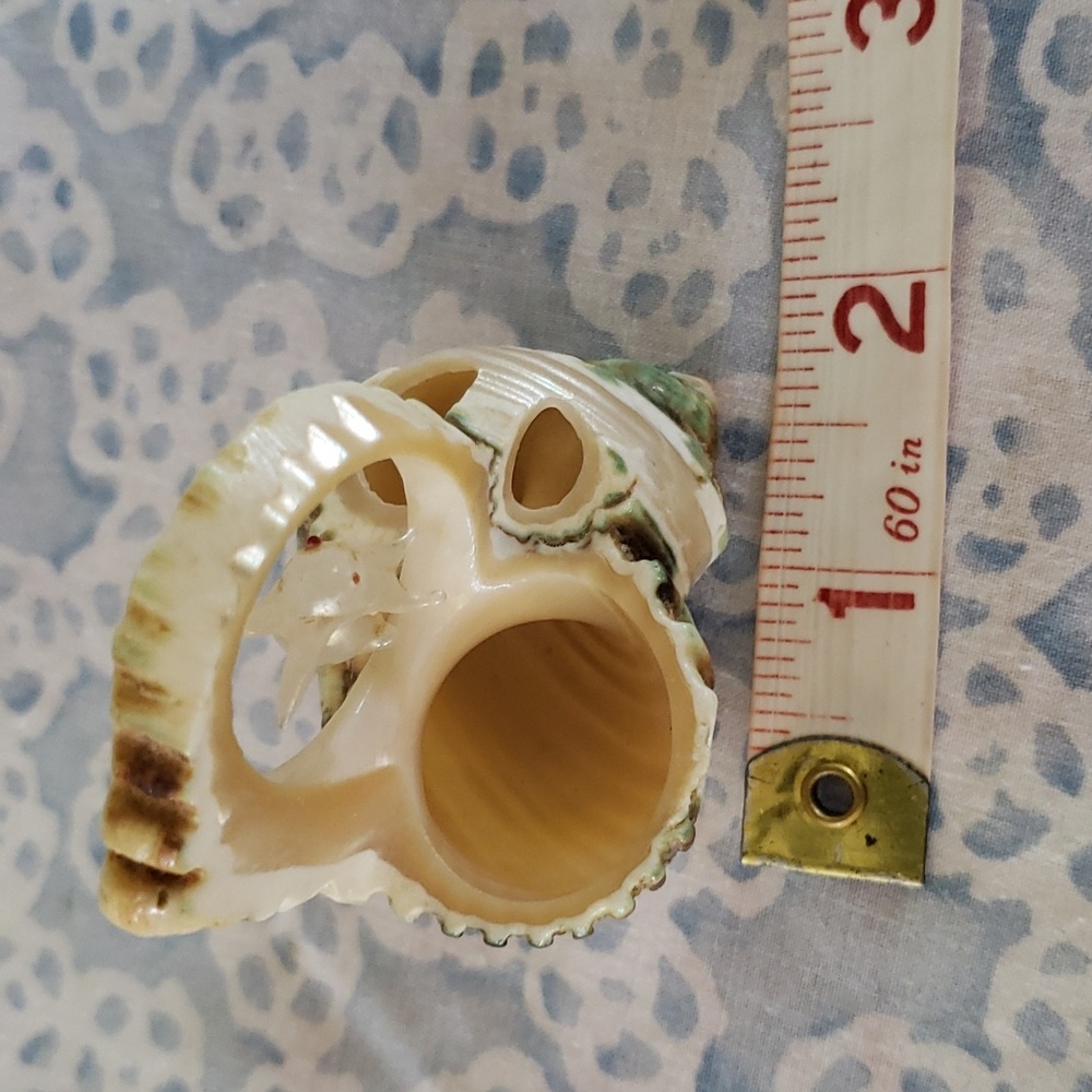 Carved Seashell with Rabbit - Picture 14 of 15